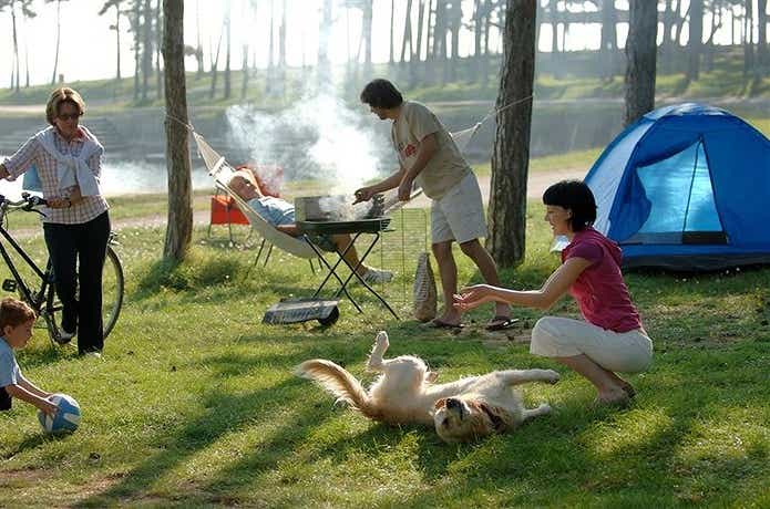 デイキャンプを楽しむ家族