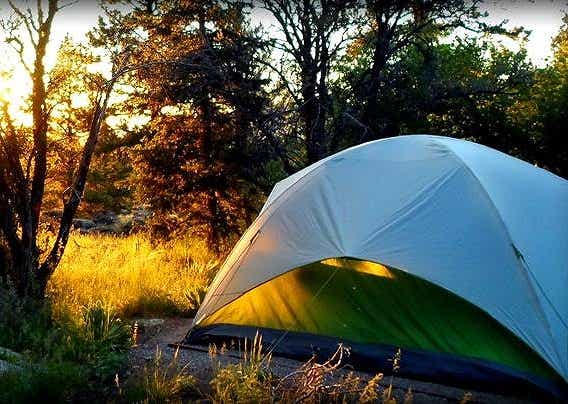 自然の中に設営されたテント