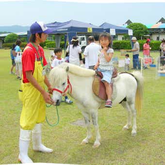FUKUOKA MACHI CAMP PARTYのポニー乗馬体験