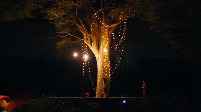 ライトアップされた一番星ヴィレッジの木