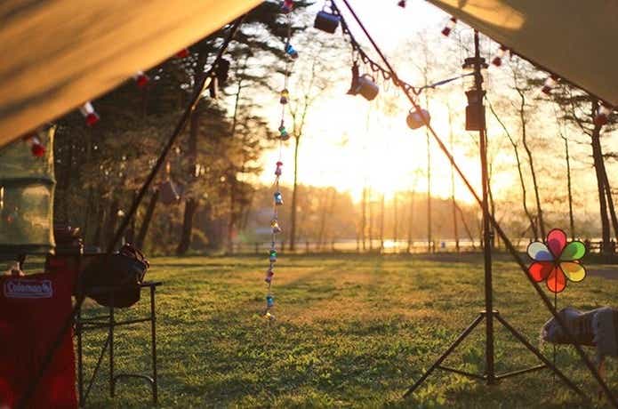 秋のキャンプ場テントからの朝日