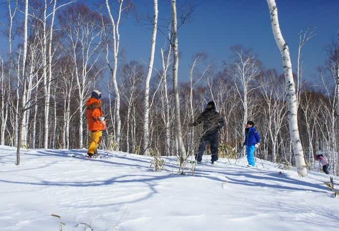 スノーシューで雪原を歩く家族