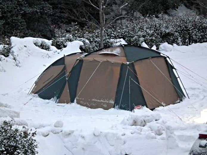 冬キャンプで使えるコールマンのテント