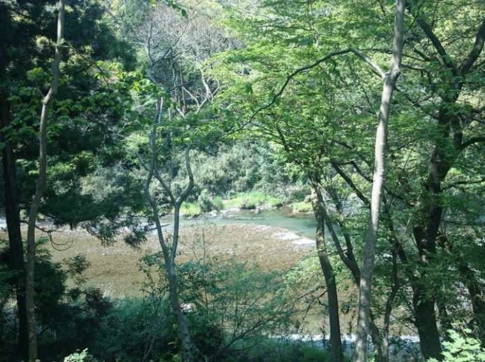 おしゃれキャンプ場は自然もいっぱい