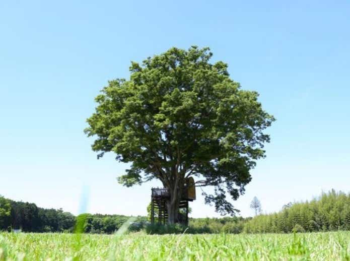 おしゃれキャンプ場と言えば一番星ヴィレッジ