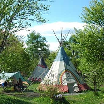 おしゃれキャンプ場の代表スウィートグラス