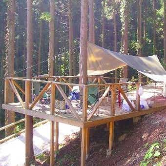 おしゃれキャンプ場のテントサイト