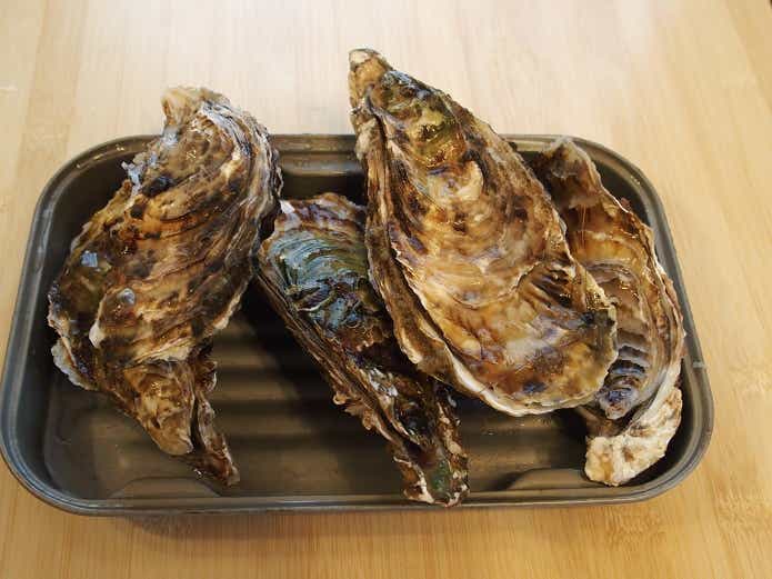 ホイル焼き　おすすめ食材　牡蠣　貝