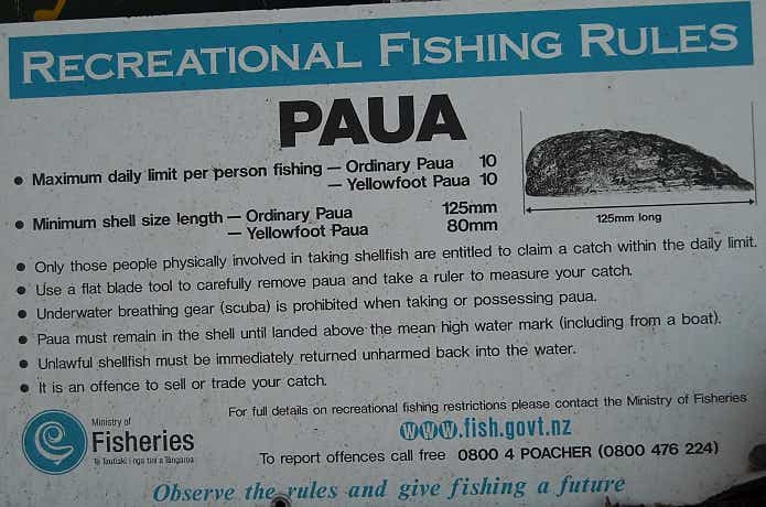 ニュージーランドの魚介ハントのルール