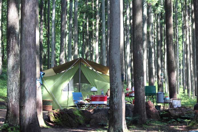 林間サイトでキャンプ