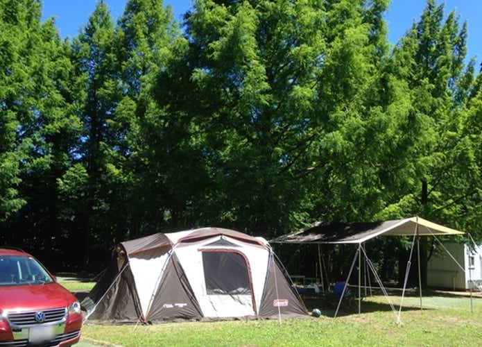 夏にキャンプ場に建てられたコールマンのテント
