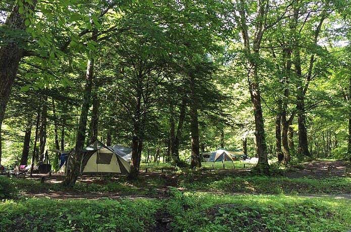 ファミリーキャンプに最適なキャンプ場　平湯キャンプ場