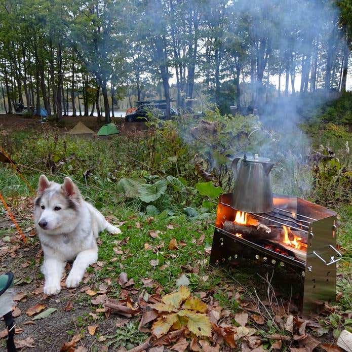 焚き火台と犬