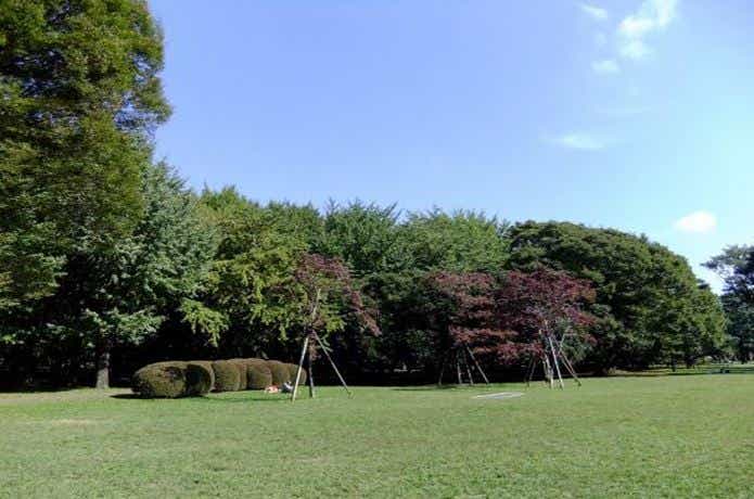 ピクニック 東京　代々木公園