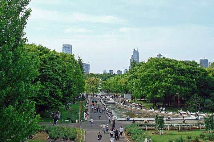 東京の代々木公園でピクニックを楽しんでいる人々