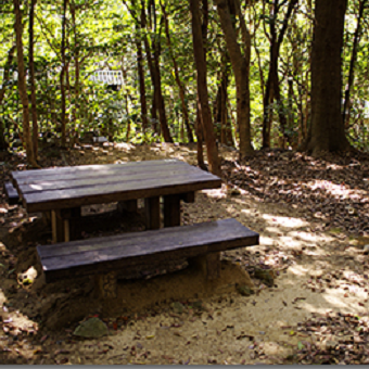山口県の深坂自然の森キャンプ場