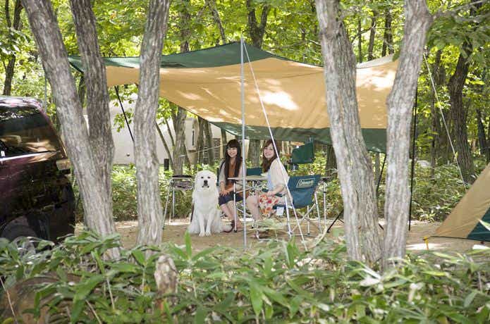 テントの下にいる女性と犬