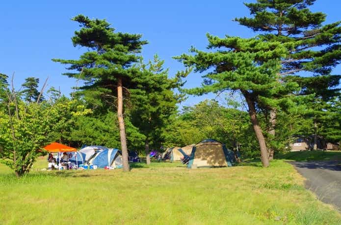 鳥取砂丘こどもの国キャンプ場のテントサイト