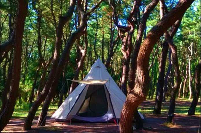 木々の合間にテント