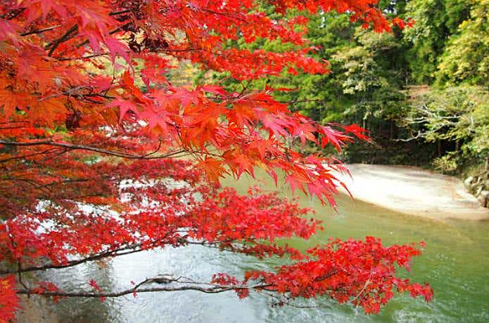 夏井川渓谷キャンプ場と紅葉