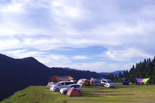 若杉高原おおやキャンプ場のサイト風景