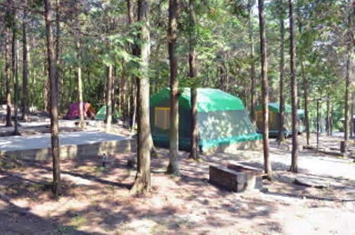 やしろ鴨川の郷キャンプ場とテントサイト