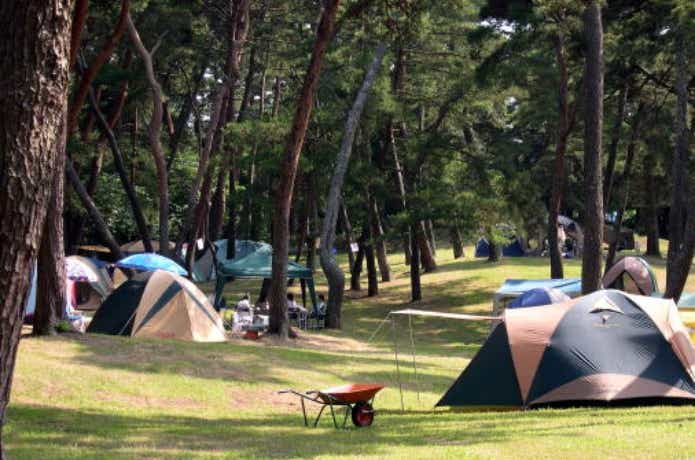 大洗キャンプ場のテントサイト