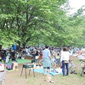 小金井公園 バーベキュー バーベキューを楽しむ光景