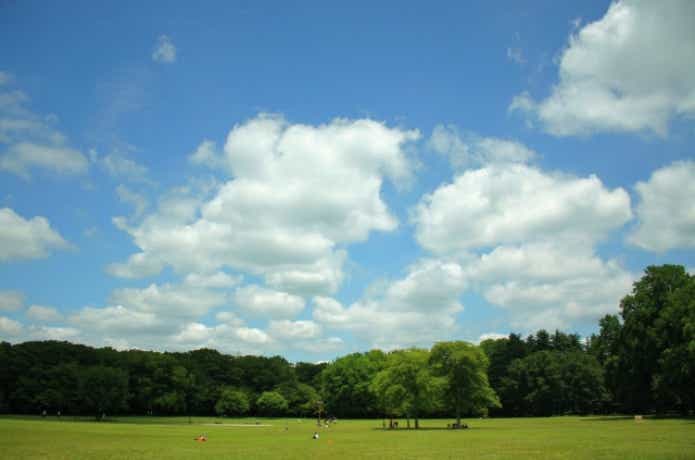 小金井公園 バーベキュー 青空 晴天