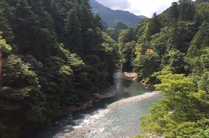 東京　キャンプ場　綺麗な川