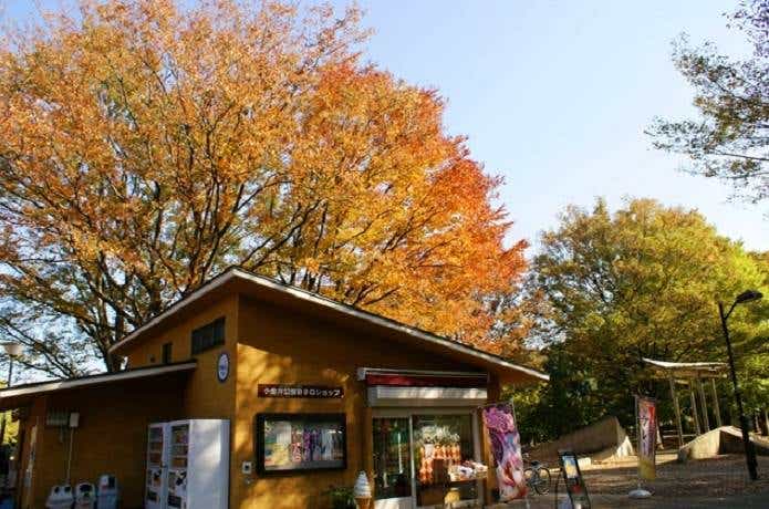 小金井公園 バーベキュー BBQショップ