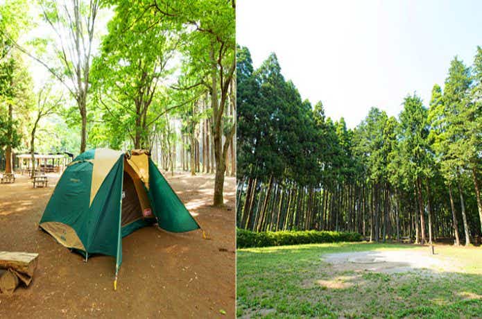 千葉県にある昭和の森フォレストビレッジキャンプ場