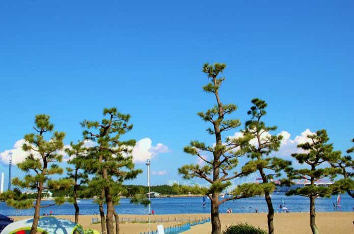 神奈川にある海の公園バーべキュ―