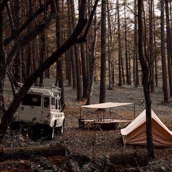 林の中のテントと車