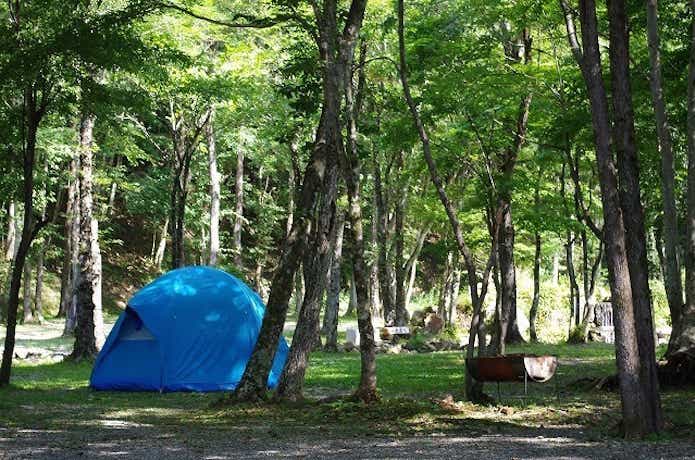 ナラ入沢渓流釣りキャンプ場（栃木県）　林とテント