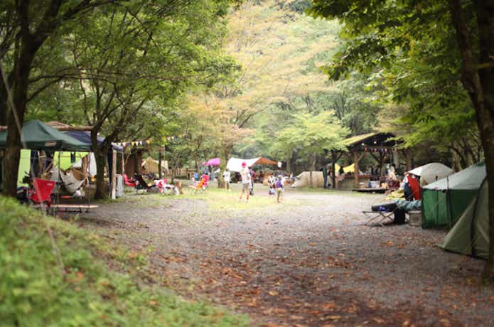 不動の滝自然広場オートキャンプ場（静岡県）　テントサイト