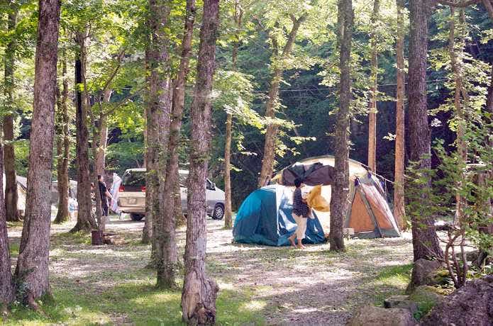 ナラ入沢渓流釣りキャンプ場の林間サイト
