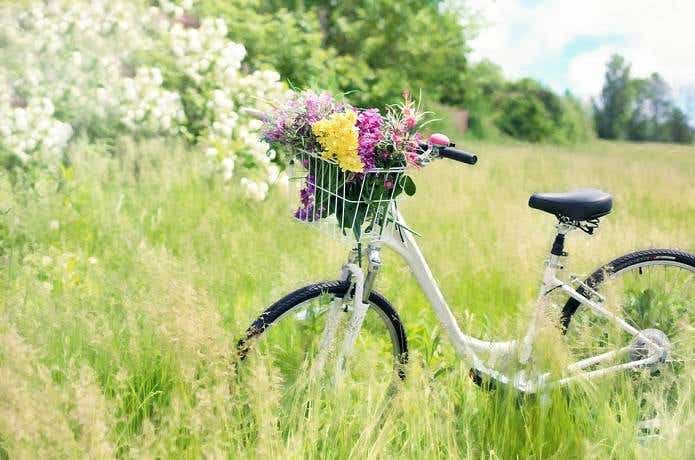 オシャレな自転車と草原