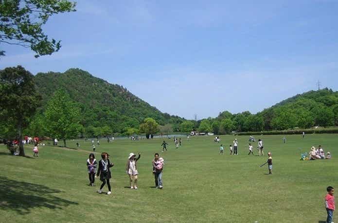 滋賀県希望が丘文化公園のコテージと大広間