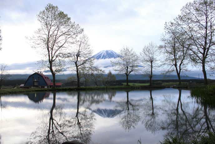 富士山近くのキャンプ