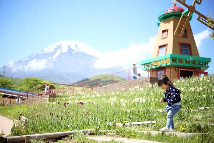 富士山とキャンプサイトで遊ぶ子ども