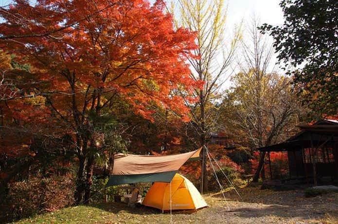 紅葉のキャンプサイト
