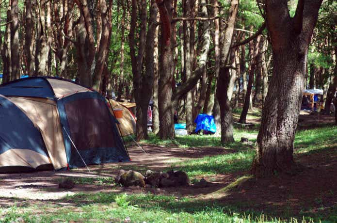 木の下でのキャンプ