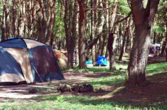 林間でのキャンプ