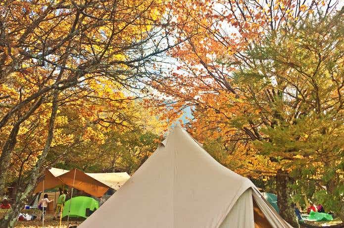 紅葉時のキャンプ