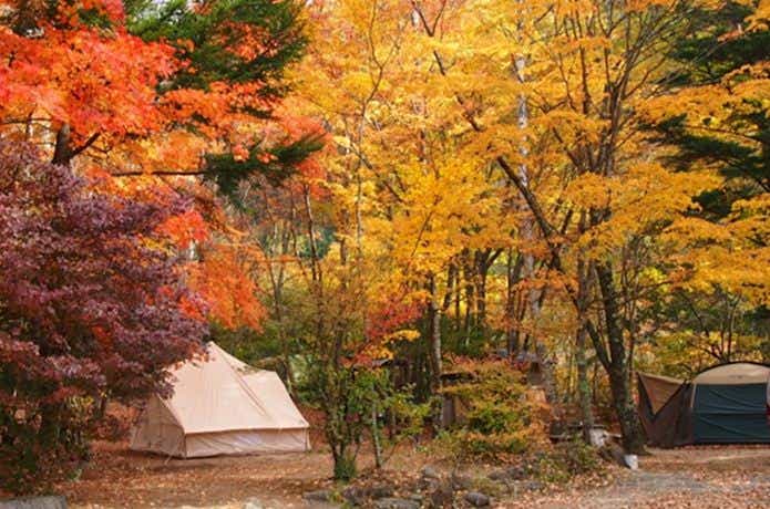 紅葉時期のキャンプ