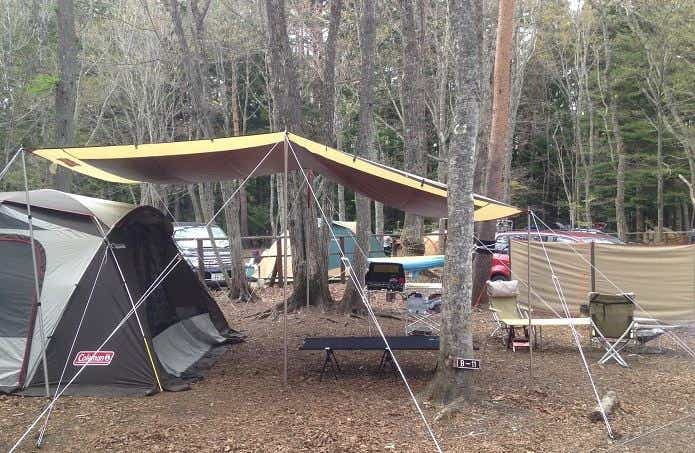 テントとタープ　キャンプサイト