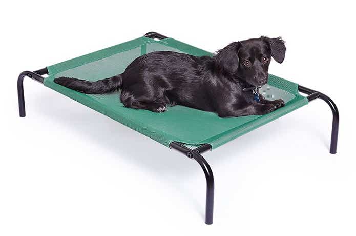 Cooling Pet Bed　クーリング・ペット・ベッドに座る犬