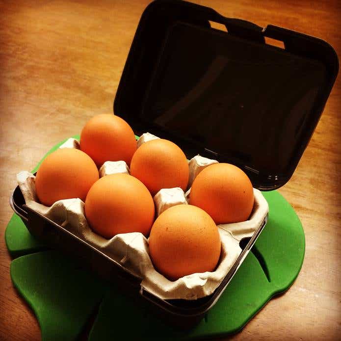セリアのプラスティックボックス、卵