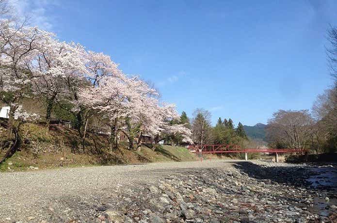 桜の咲くケニーズ・ファミリー・ビレッジ／オートキャンプ場　画像2